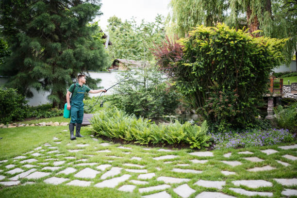 Best Emergency Pest Control  in Minerva Park, OH